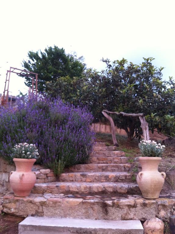 A Fata Di L'Ortolo Gites A La Ferme Sartène الغرفة الصورة
